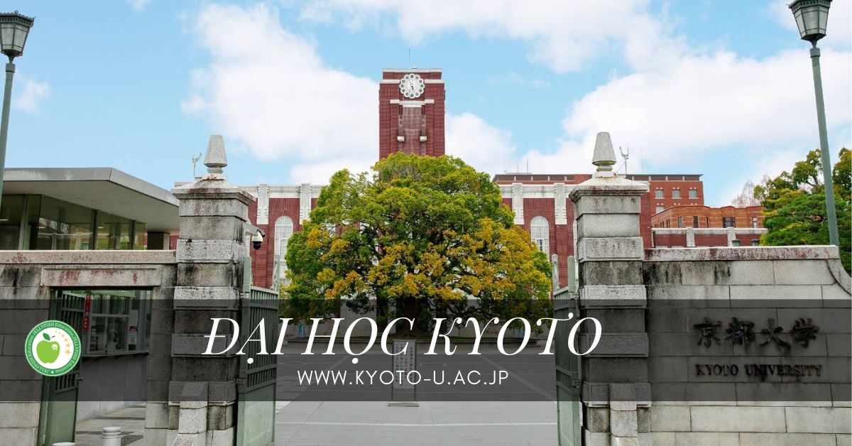 Đại học Kyoto là trường đại học đứng thứ 2 trong Top những trường đại học uy tín nhất Nhật Bản