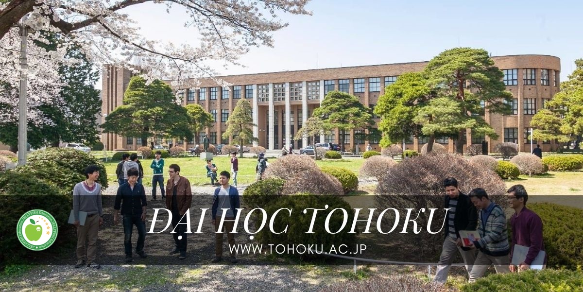 Đại học Tohoku