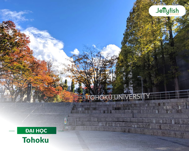 Tohoku là trường đại học đầu tiên tiếp nhận sinh viên nữ và sinh viên nước ngoài vào học