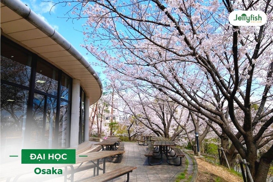 Top trường đại học ở Osaka