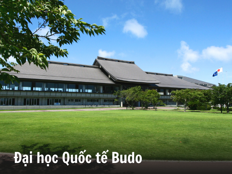 Đại học Quốc tế Budo - Các trường đại học có khoá Bekka