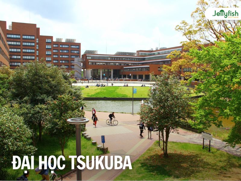 Đại học Tsukuba - Top 10 trường Đại học tốt nhất Nhật Bản