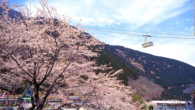 cáp treo kintetsu beppu