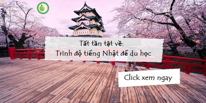 Tìm hiểu về du học Nhật Bản - Cơ hội phát triển học vấn và sự nghiệp trong tầm tay