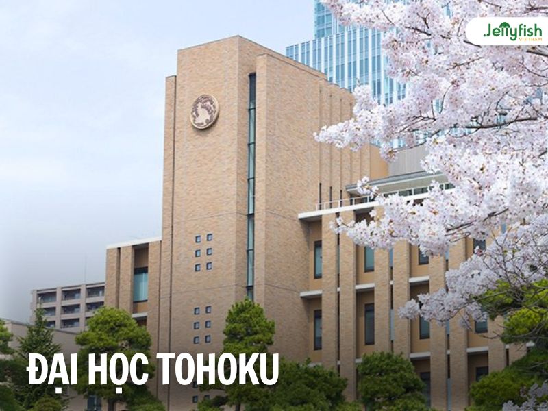 Đại học Tohoku - Top 10 trường Đại học tốt nhất Nhật Bản