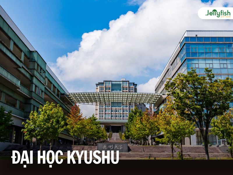 Đại học Kyushu - Top 10 trường Đại học tốt nhất Nhật Bản