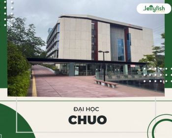 Đại Học Chuo Nhật Bản: Ngành Học, Học Phí & Học Bổng 2026
