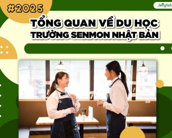 Du học trường Senmon Nhật Bản