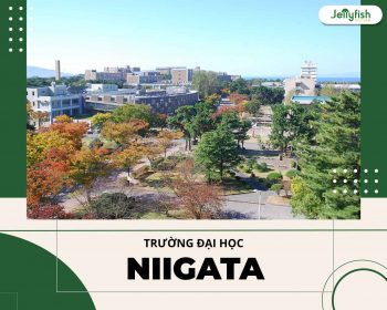 Đại học Niigata