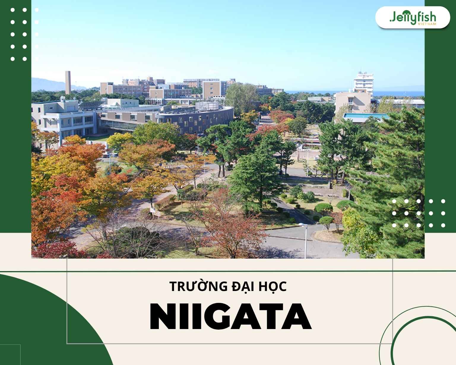 Đại học Niigata