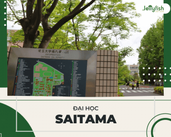 Trường Đại học Saitama Nhật Bản: Điều kiện, Học phí, Học bổng