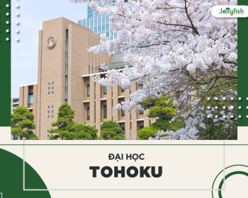 Đại học Tohoku