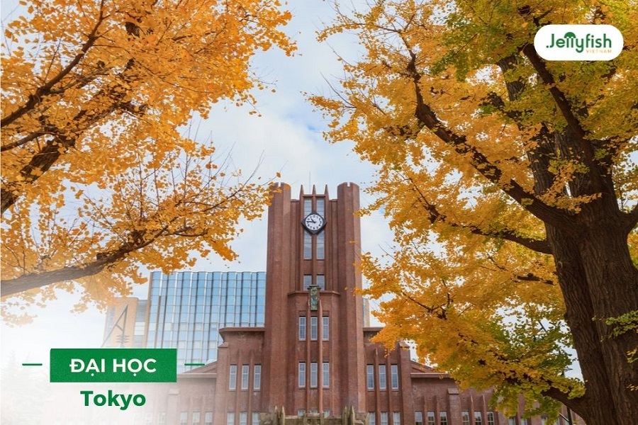 Đại học Tokyo ở Tokyo Nhật Bản