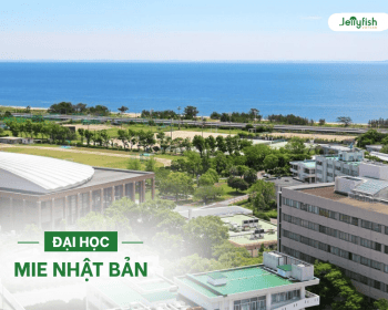 Đại học Mie Nhật Bản: Học phí, học bổng, tuyển sinh mới nhất