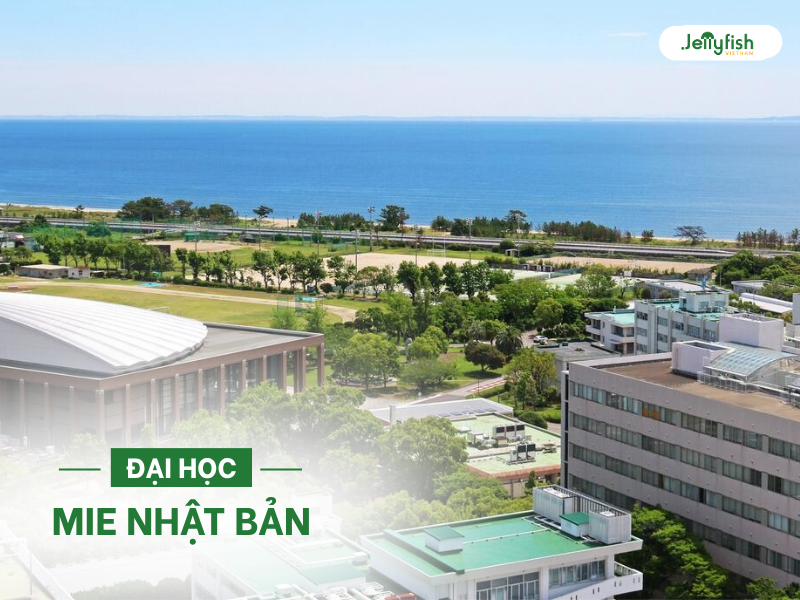 Đại học Mie Nhật Bản
