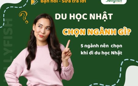 Du Học Nhật Bản Nên Học Ngành gì? Nên Chọn Ngành Nào?