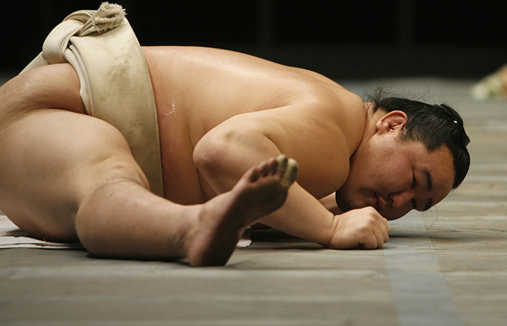 sumo-nhật-bản-11