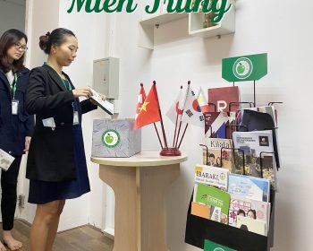 TẬP THỂ CBNV VÀ HỌC VIÊN JELLYFISH HƯỚNG VỀ MIỀN TRUNG ẢNH 2