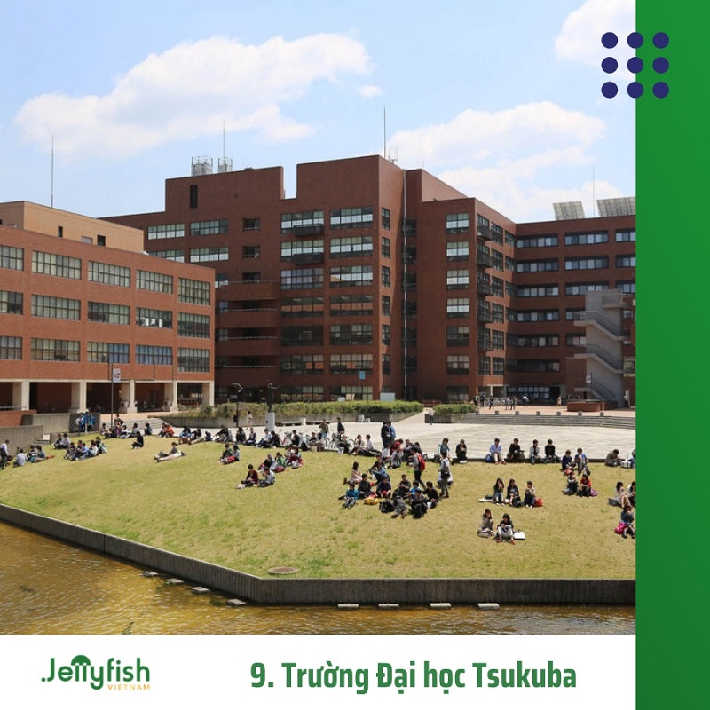 9. Trường Đại học Tsukuba